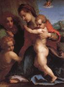 Andrea del Sarto Angel oil painting reproduction